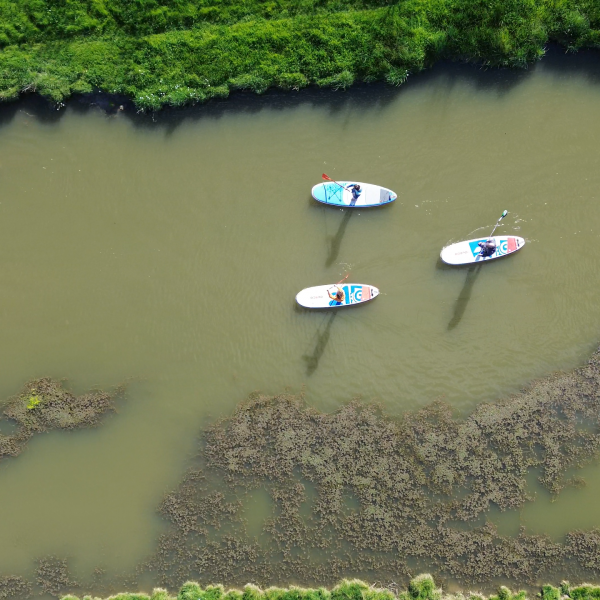 Balade en SUP dans les marais vendéens