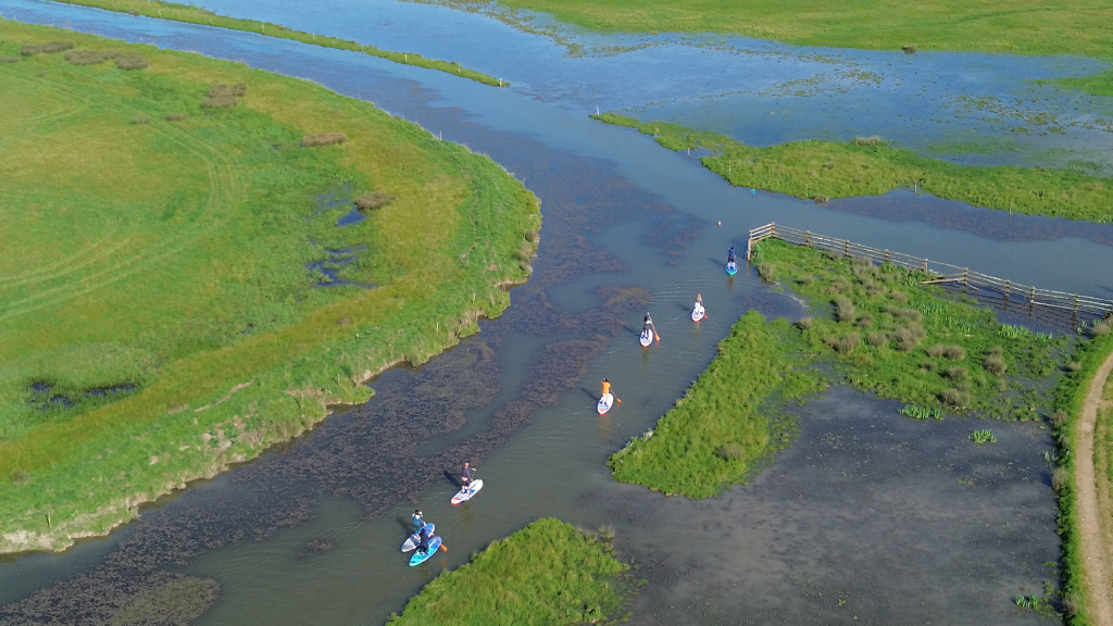 Balade en SUP dans les marais vendéens
